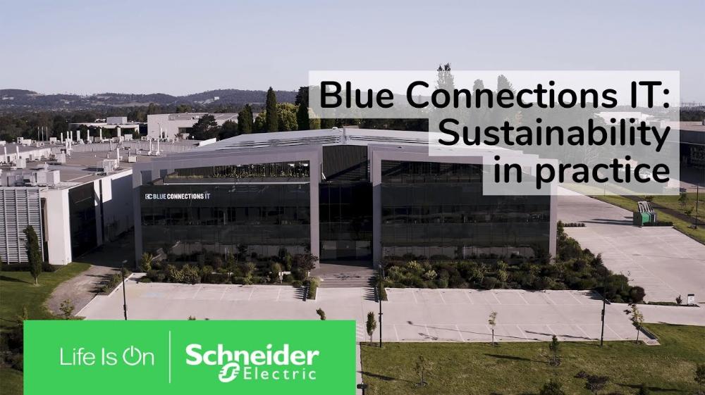 Blue Connections IT achieves carbon neutrality, for the second year in a row, through sustainable technology