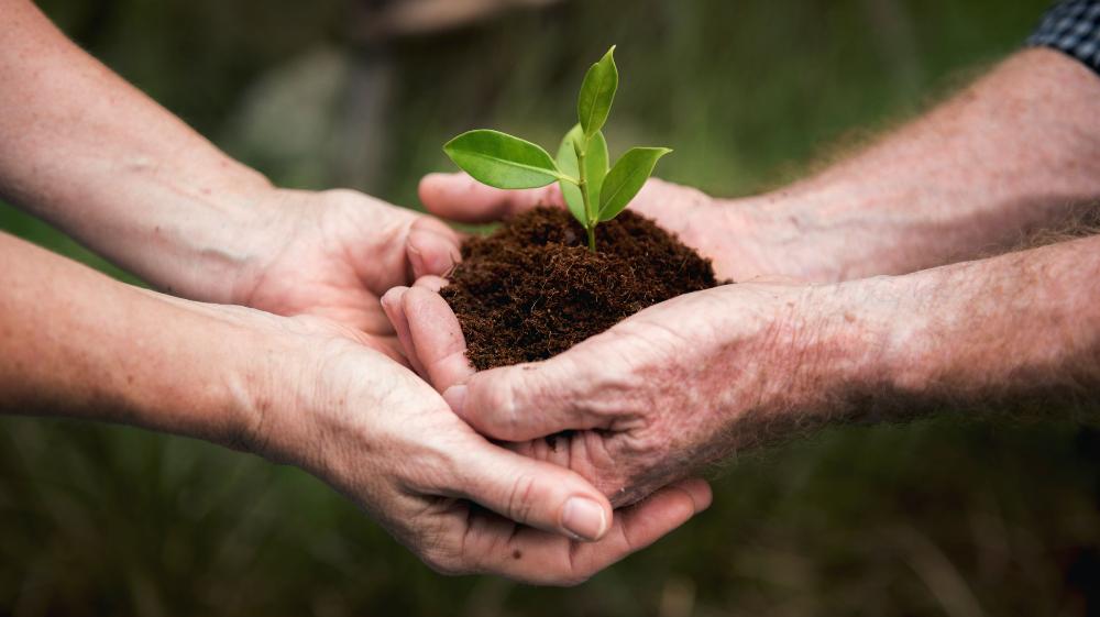 Devenez un expert en durabilité grâce à notre Sustainability School