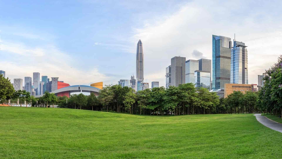 buildings near the greenary