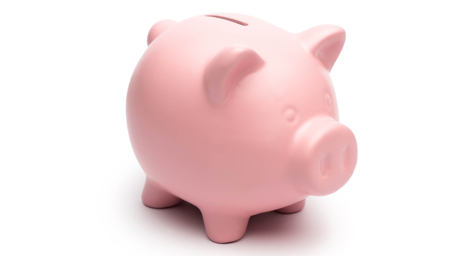 image of a piggy bank