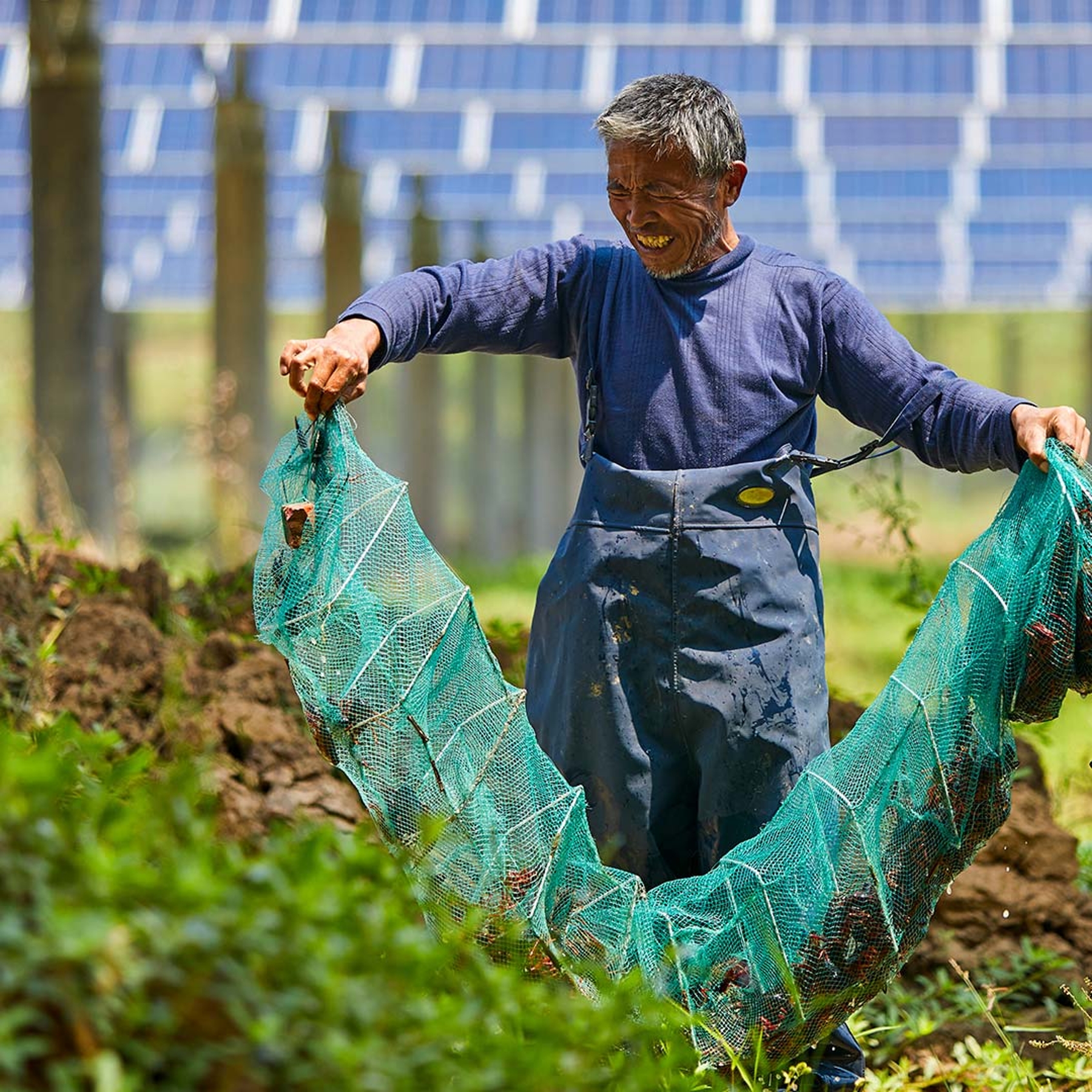 Corporate Sustainability | Schneider Electric Canada