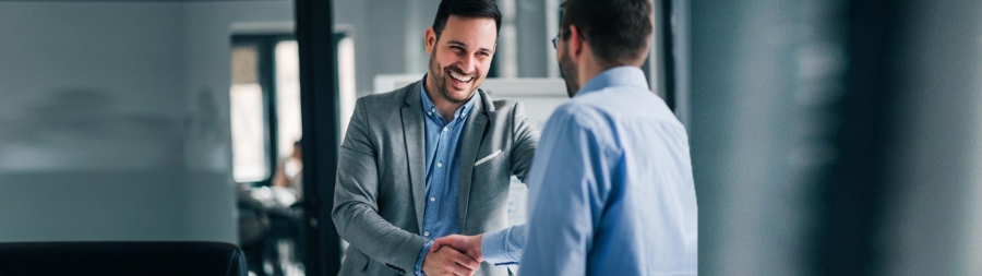 Two professionals shaking hands with each other