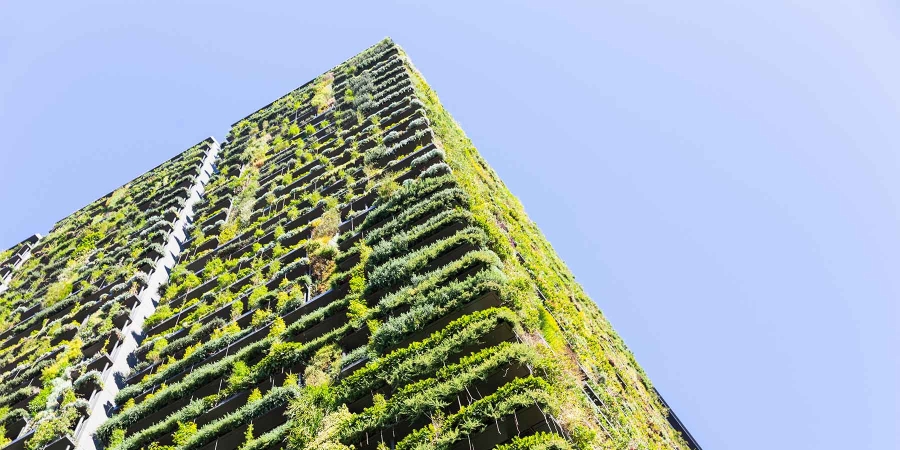 A tall building with plants growing on it