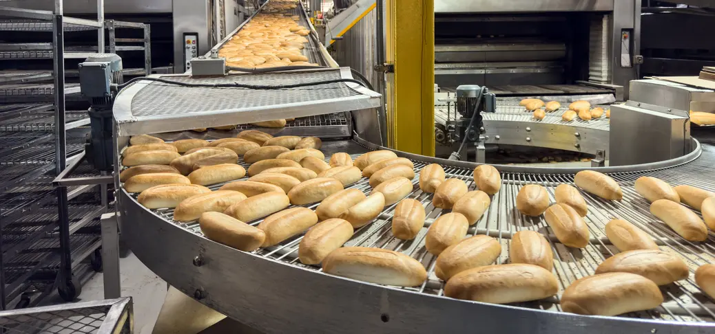 Bread production line.