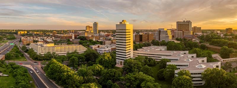 A city with trees and buildings