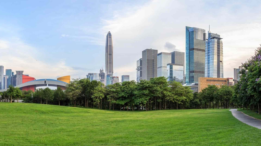 green forest near modern city buildings