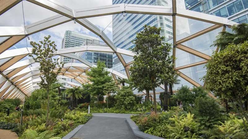 A walkway between buildings with trees