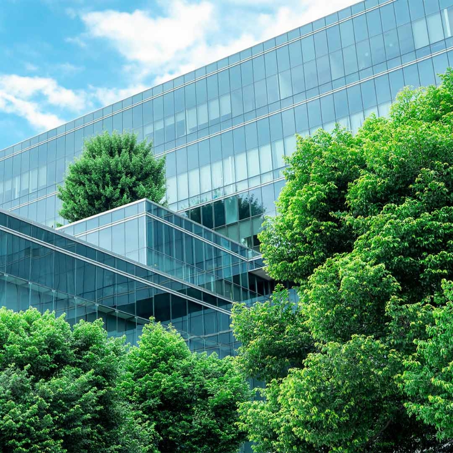 A building with trees in front of it