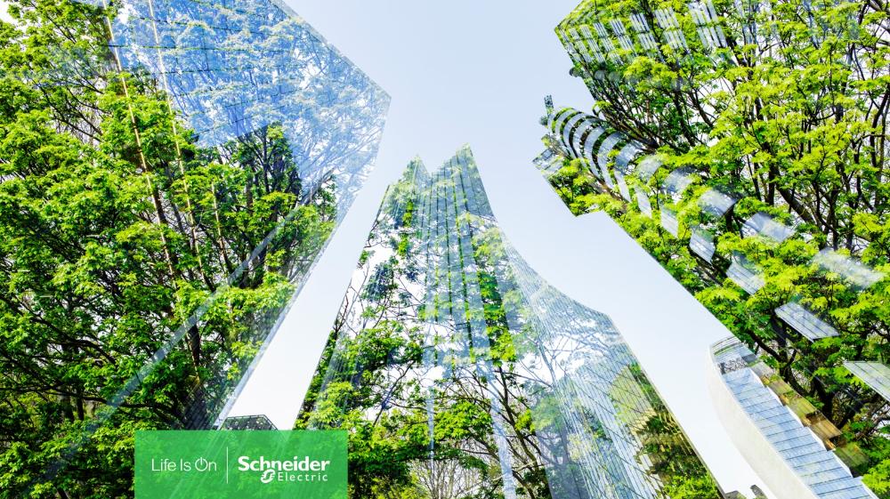 Schneider Electric’s new research shows that digital and electric solutions can cut carbon emissions in office buildings by up to 70%