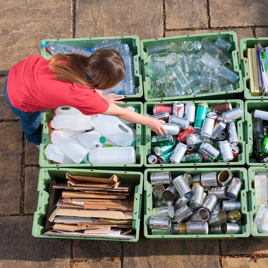 A person sorting cans and cans