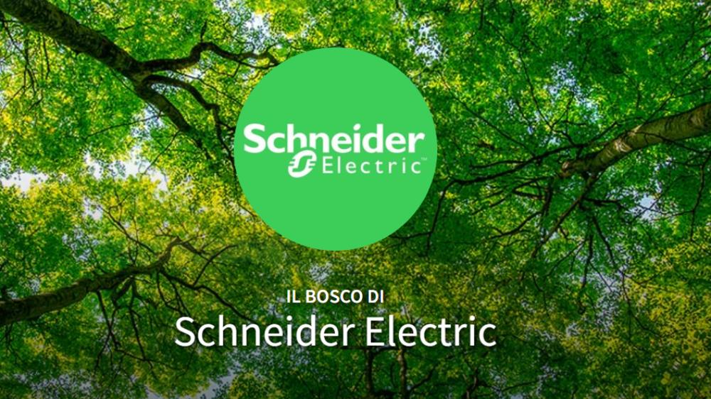 Schneider Electric e gli IT Solutions Provider compensano l'impatto dell’European Partner Summit con la piantumazione di migliaia di alberi in tutta Europa