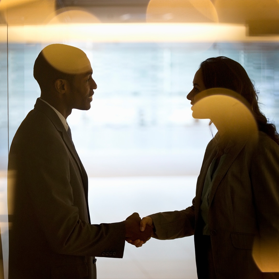 two business persons shaking hands