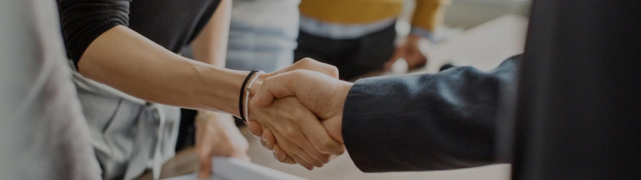 A close-up of a handshake