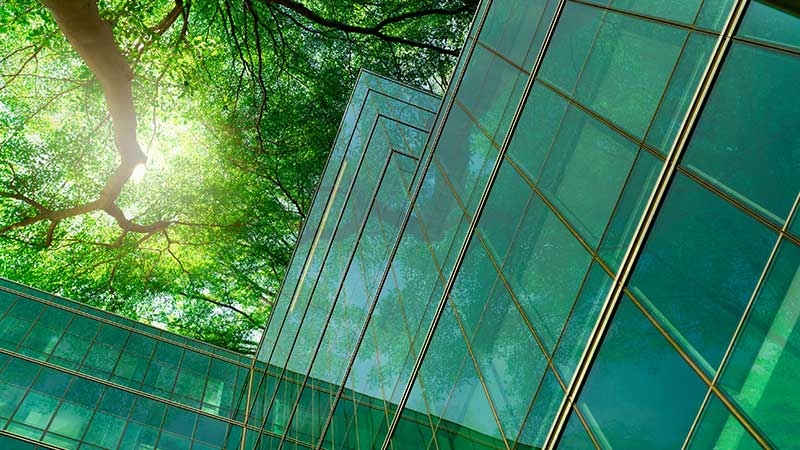 Worm view of a glass building under a big tree