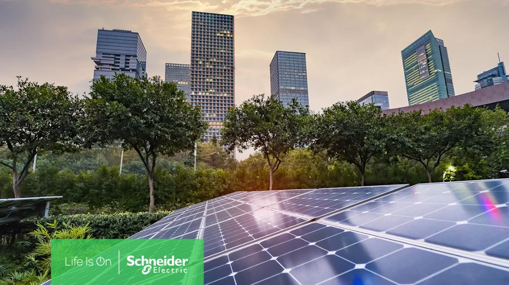 Schneider Electric renueva su asociación con CDP para proporcionar asesoramiento sobre sostenibilidad a nivel mundial