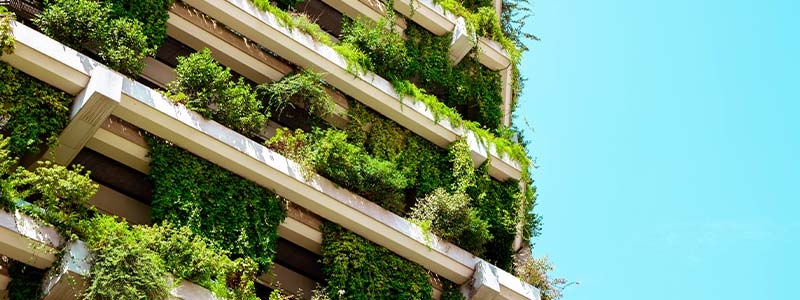 A building with plants growing on it