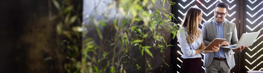 A close up of a plant