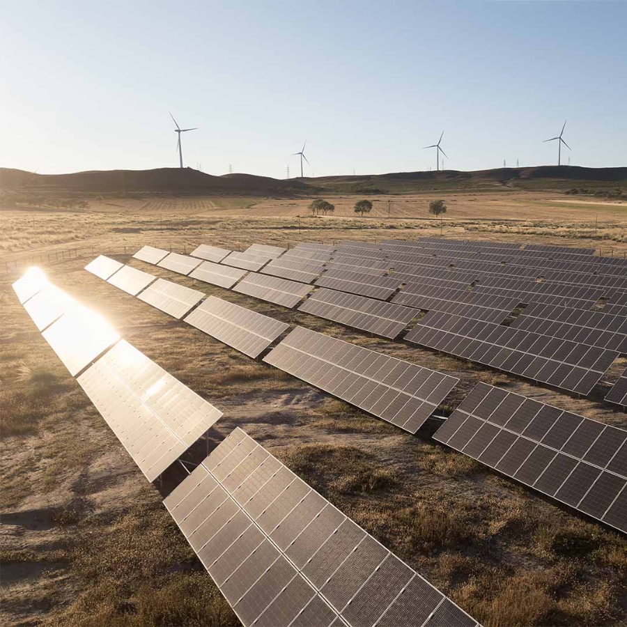 Solar panels in a field