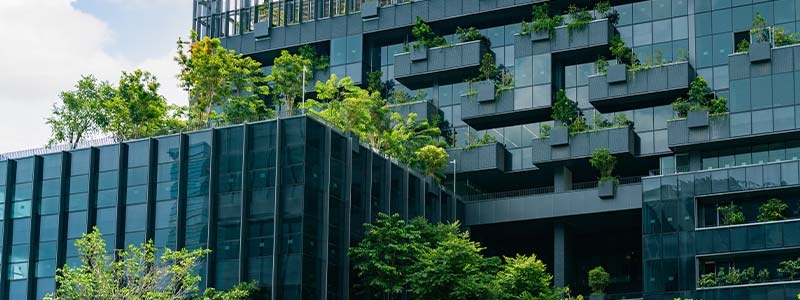 A building with trees on the top