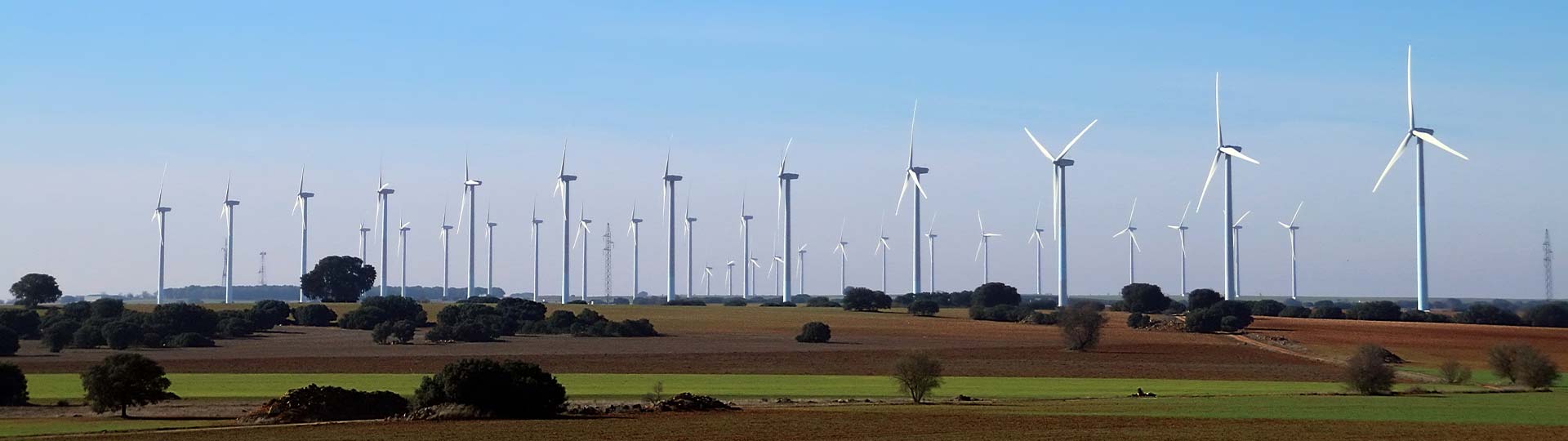 A group of wind turbines in a field