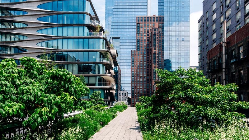 A walkway between buildings with trees