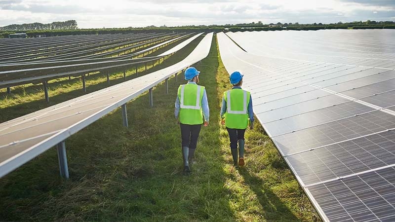 Two people walking in a solar farm