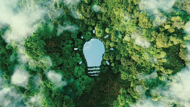 A bulb-shaped lake in the middle of a lush forest