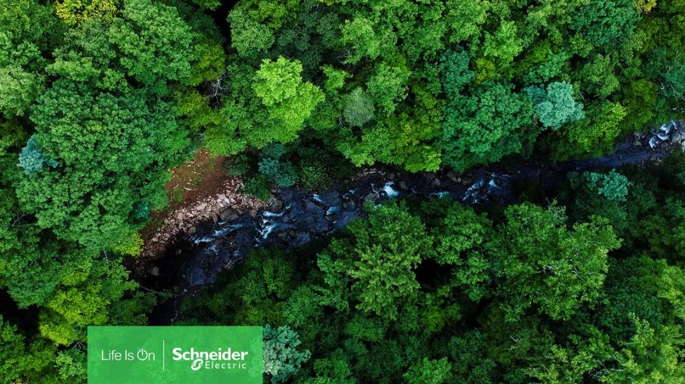 Schneider Electric details pledge to fight global biodiversity loss