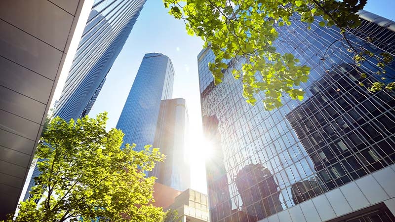 A low angle view of tall buildings